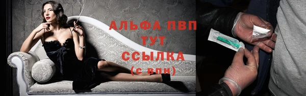 тгк Гусев