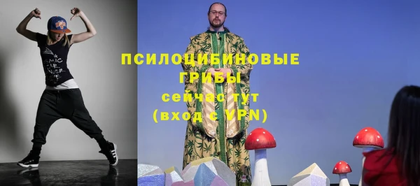 прущая мука Горно-Алтайск