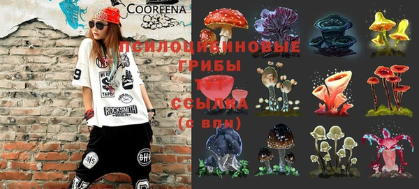 прущая мука Горно-Алтайск