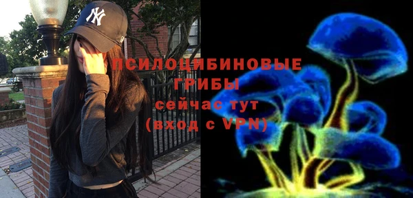 спайс Горнозаводск