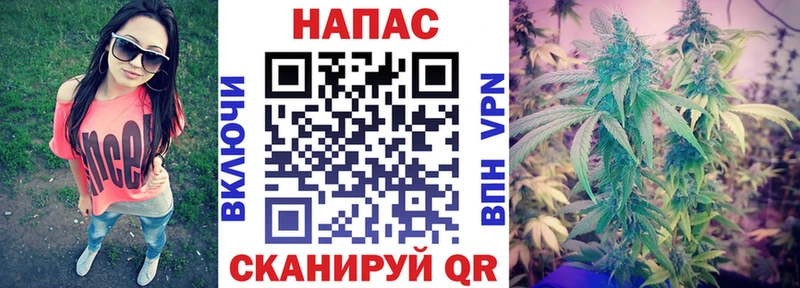 Бошки Шишки планчик  Купить где  Ленинск-Кузнецкий 